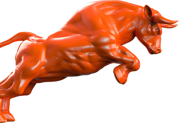 Bull